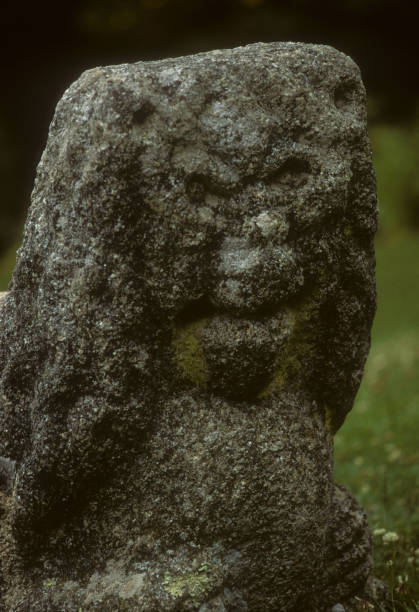 istock Weathered statue of a lion Trerice 496652292