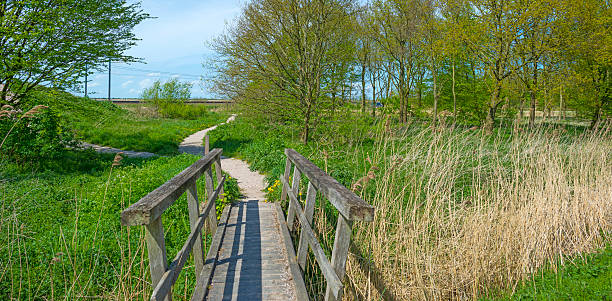 istock Railroad through a sunny landscape in spring 496653256