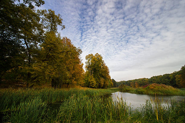 istock colors of autumn 496654754