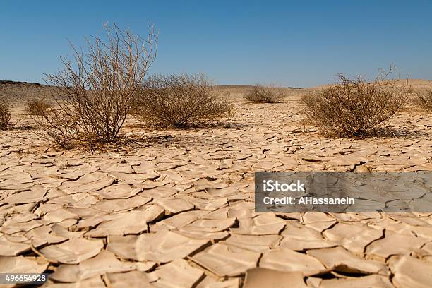 Verödung Und Dürre Stockfoto und mehr Bilder von Wüstenbildung - Wüstenbildung, Erdreich, 2015