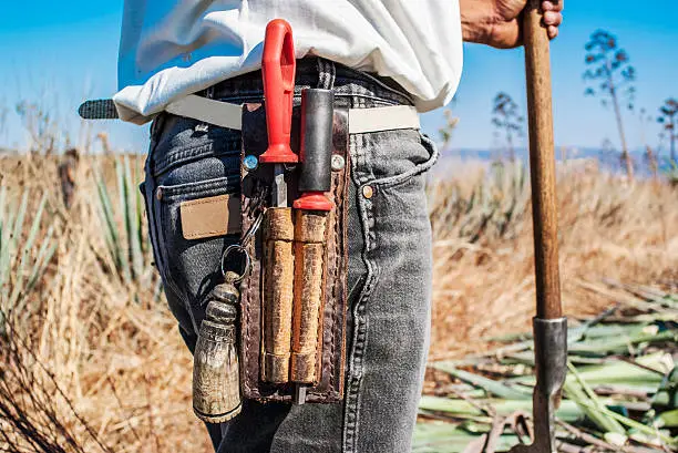 Photo of man work in tequila industry