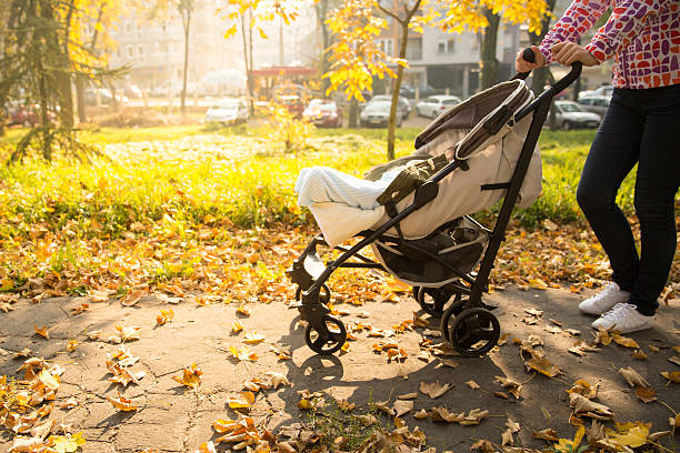 istock Young mother pushing a baby stroller 496659254