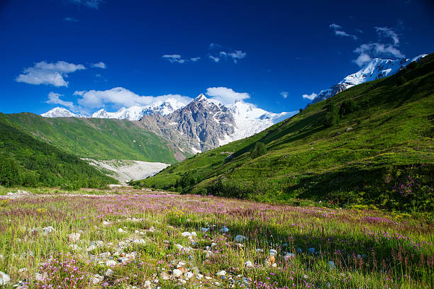 istock Beautiful valley in Caucasus mountains in Upper Svaneti, Georgia 496660144