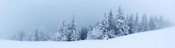 istock Winter landscape with snowy fir trees 496661332