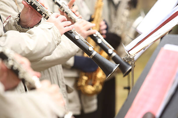 istock Musician plays clarinet 496661360