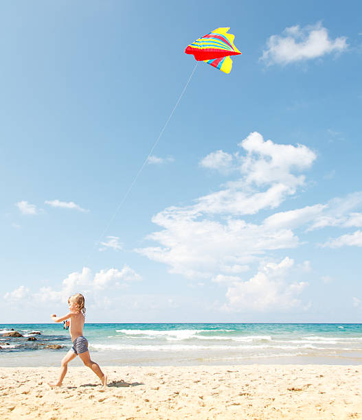 istock Little Girl At The Beach 496661669