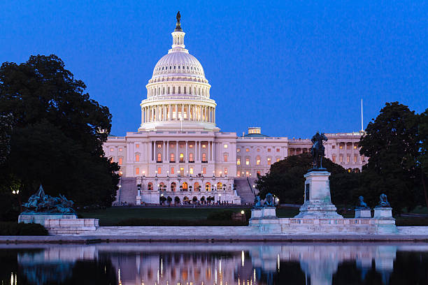istock The United States Capitol. 496662567