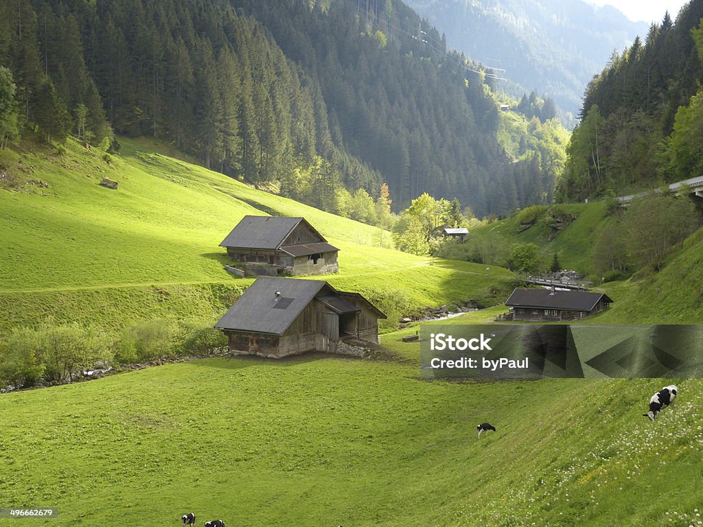 Alpine huts in the glow Osttirol Stock Photo