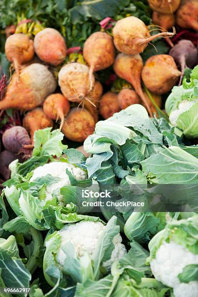 新鮮なオーガニックのカリフラワーゴールド Beets - 野菜のストックフォトや画像を多数ご用意 - 野菜, アウトフォーカス, アブラナ属