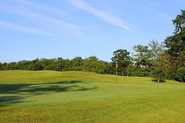 istock Golf course with green grass, trees, sandy bunkers, hazards, sky 496663413