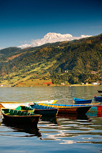 istock Lake in Pokhara 496664412