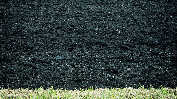 Black soil A dark fertile topsoil, an arable plowed field, ready for cultivation. Photograph taken near Moorenweis, Bavaria. kultivieren stock pictures, royalty-free photos & images