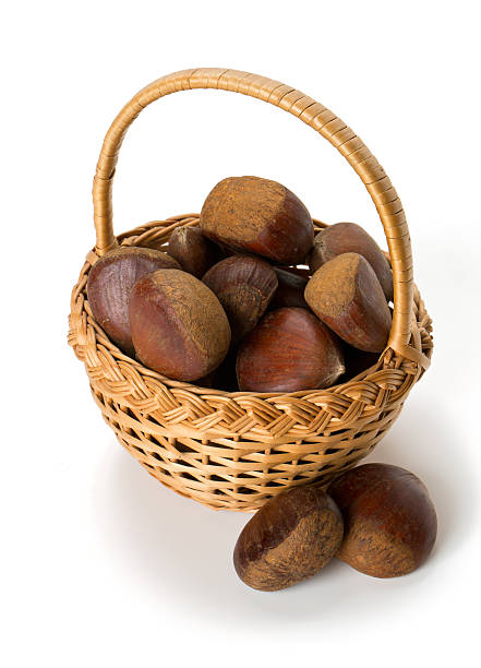 chestnuts изолированные на белом фоне - chestnut basket large group of objects isolated стоковые фото и изображения