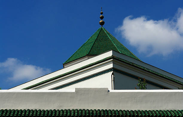 istock Grand Mosque of Paris 496665818
