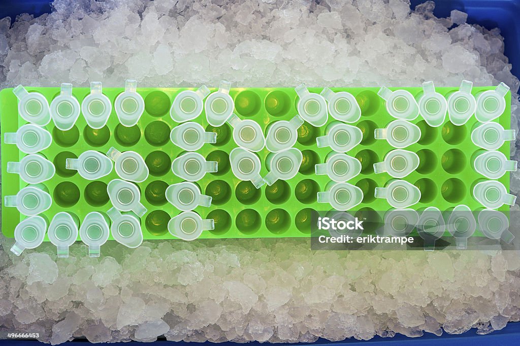 GMO on ice! Genetically modified organism, GMO, Text written with small test tubes in tube rack sitting in ice. Advice Stock Photo