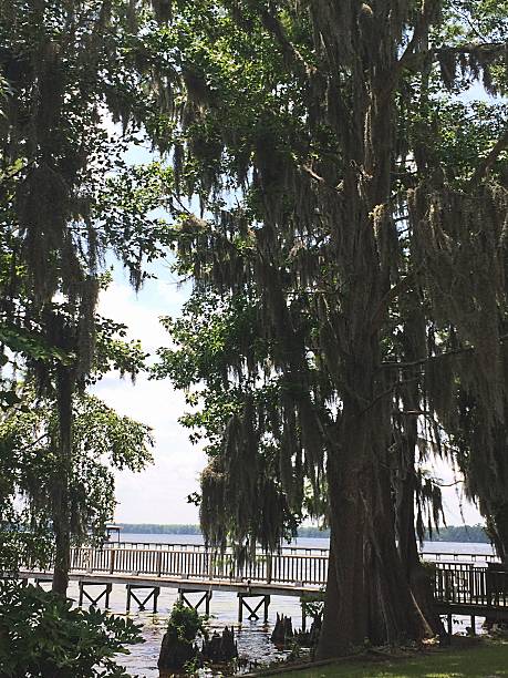 istock Shady spot by the lake 496668615