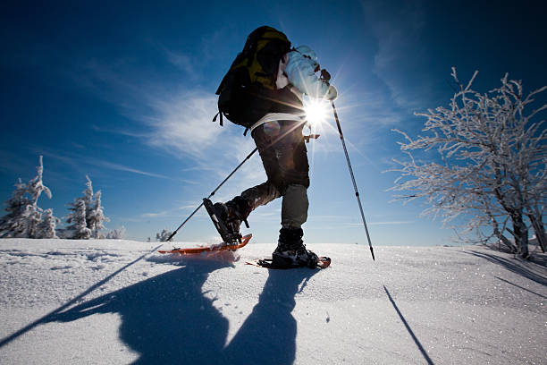istock Hiker in winter mountains 496675052