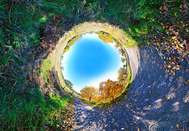 istock Stereographic panoramic projection of an autumn tree 496675060