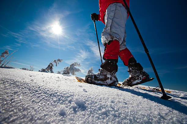 istock Hiker in winter mountains 496675090