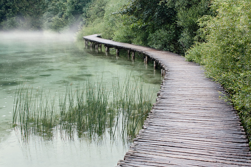 Narrow wooden path suspended over a lake winding throught a forest.