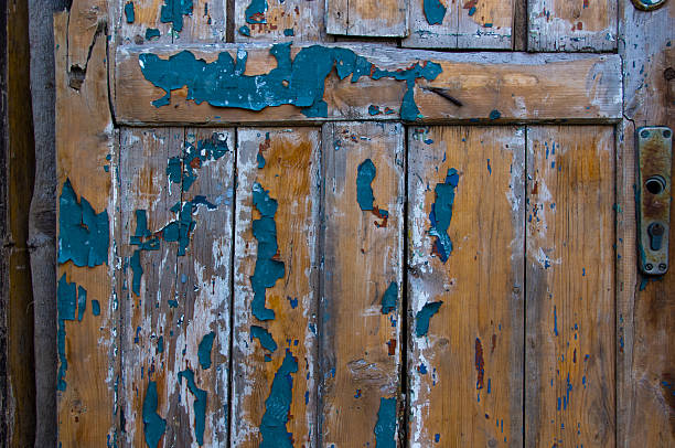 istock texture old wooden door 496676030