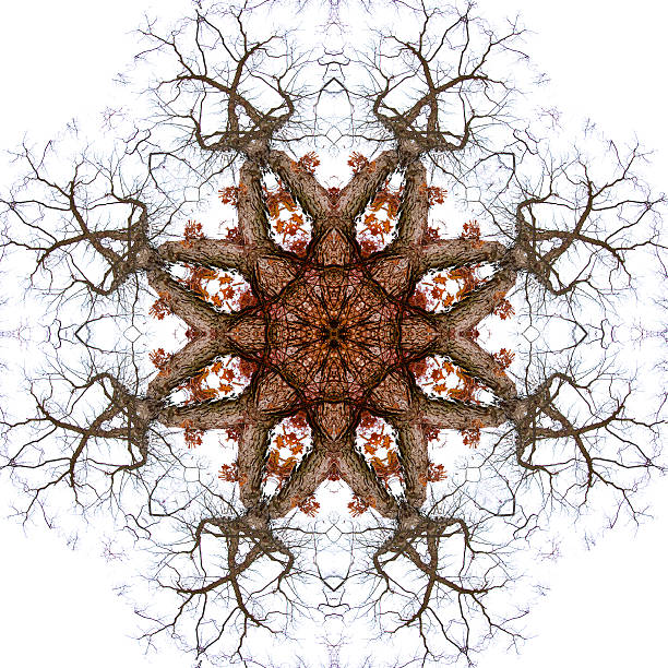 Tree Branch Kaleidoscopic Photographic Mandala Design stock photo
