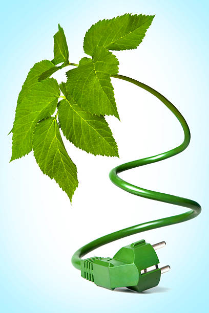 Green energy Power line changing into a plant two pin plug stock pictures, royalty-free photos & images