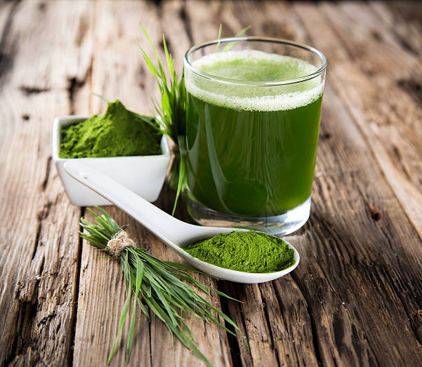 detox. jovem cevada, chorella superfood. - barley grass imagens e fotografias de stock