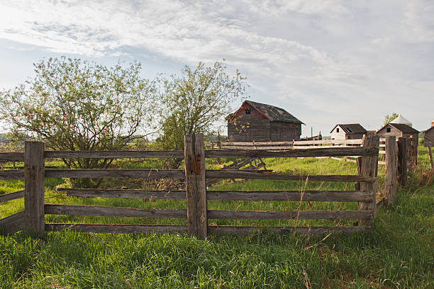 istock Old shed behind fence 496682761