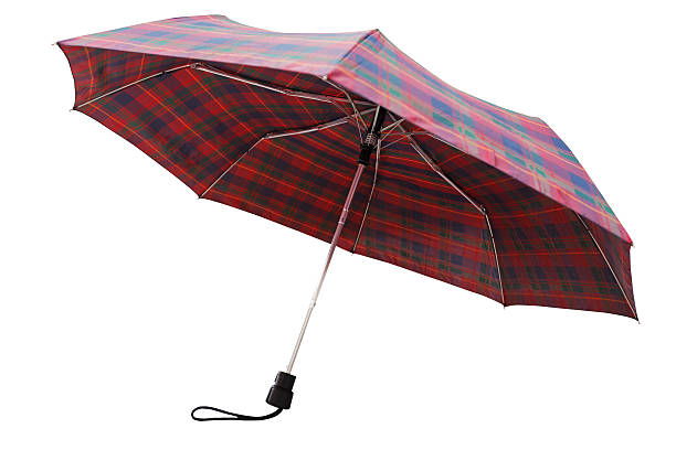 istock rear view of telescopic checkered umbrella 496684797