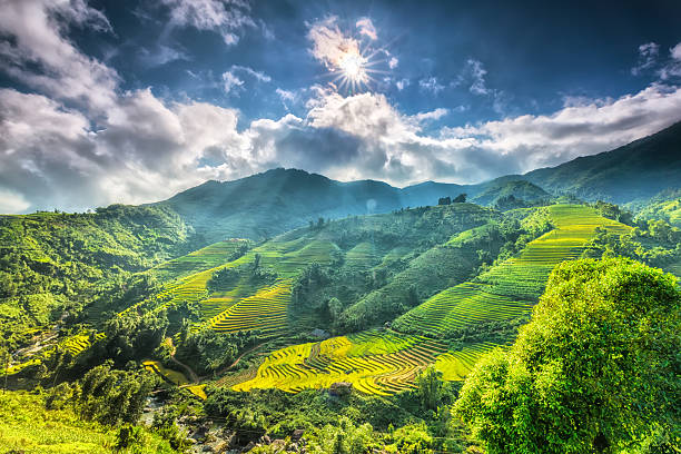 sole stelle sopra il bellissimo highland sapa - sa pa foto e immagini stock