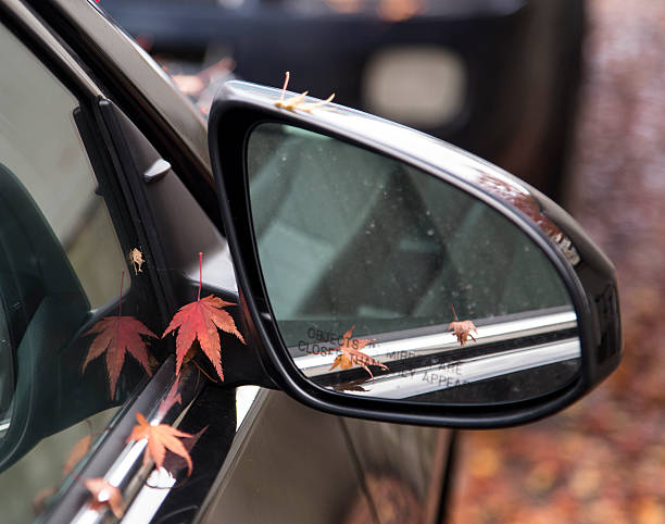 istock Changing of season 496685198
