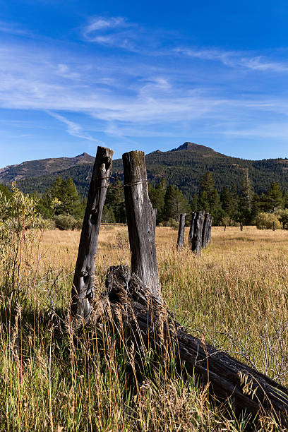 istock Old wooden fence posts in a crooked line 496686250