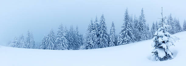 istock Winter landscape with snowy fir trees 496687100