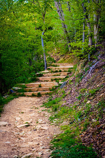 Trail A hiking trail in the Eno River State Park in Durham, North Carolina. eno river stock pictures, royalty-free photos & images