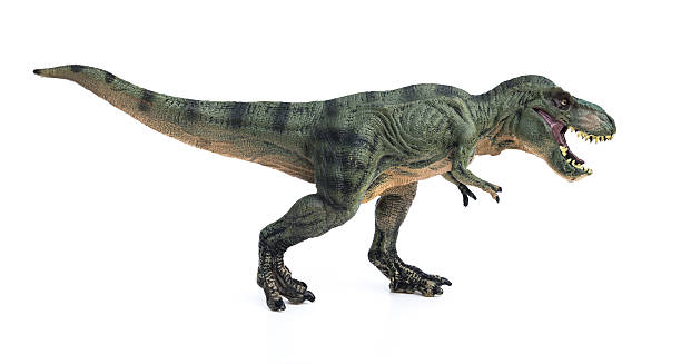 istock tyrannosaurus toy on a white background 496699036