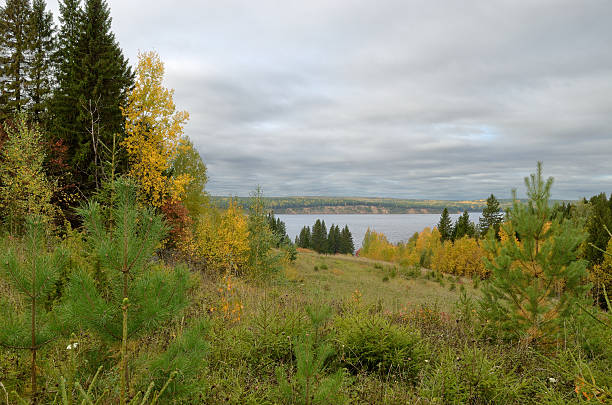 istock autumn sky forest  meadow hills 496699100