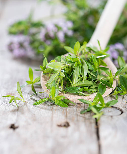 istock Heap of Winter Savory 496700425