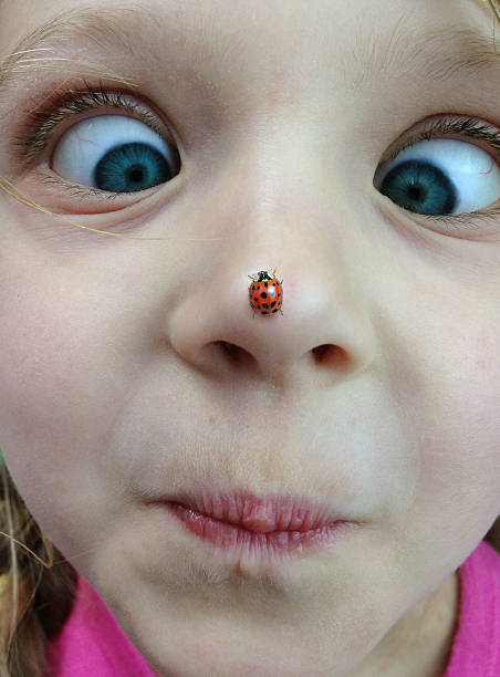 Above shot of Child’s hands holding and exploring ladybug insect in nature