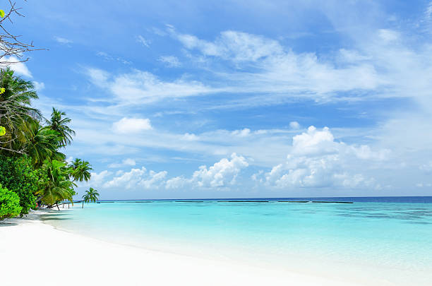Tropical beach and green lagoon