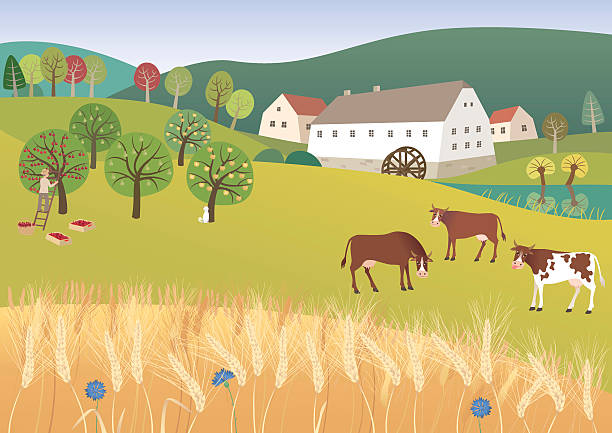 Organic farm vector art illustration