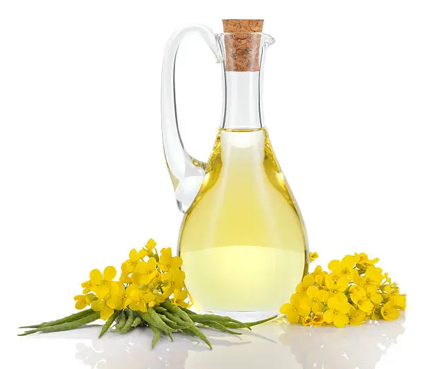 Rapeseed oil in decanter oilseed rape flowers and seeds isolated on white background. Canola oil.