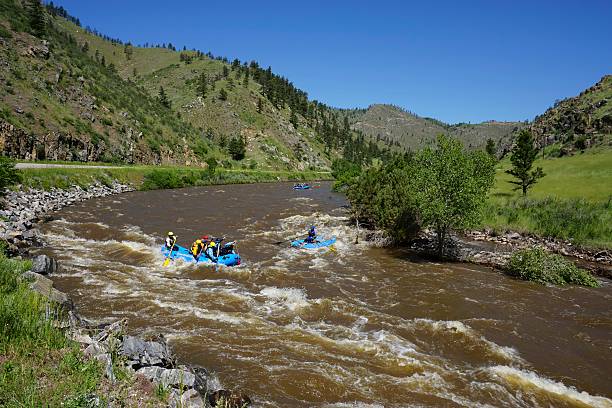 белая вода рафтинг, штат колорадо - rafting white water rafting river colorado стоковые фото и изображения