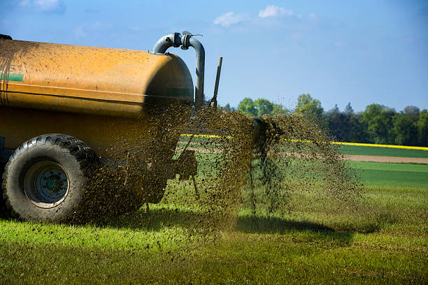 farmer spreading liquid manure farmer on tractor with manure tank spreading liquid manure on farmland animal dung stock pictures, royalty-free photos & images