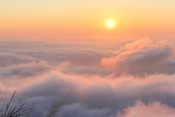 istock Phu chi fa in Chiangrai, Thailand 496704788