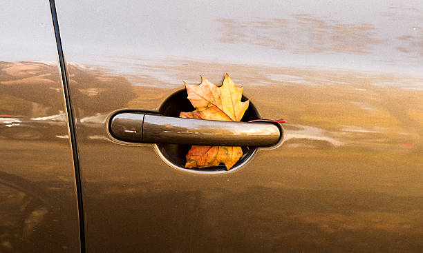 Yellow leaf in car door