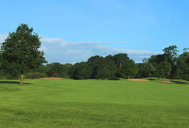 istock Golf course with green grass, trees, sandy bunkers, hazards, sky 496705661