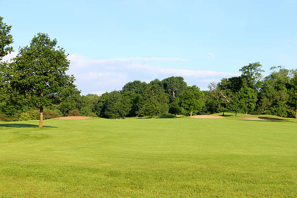 istock Golf course with green grass, trees, sandy bunkers, hazards, sky 496705675
