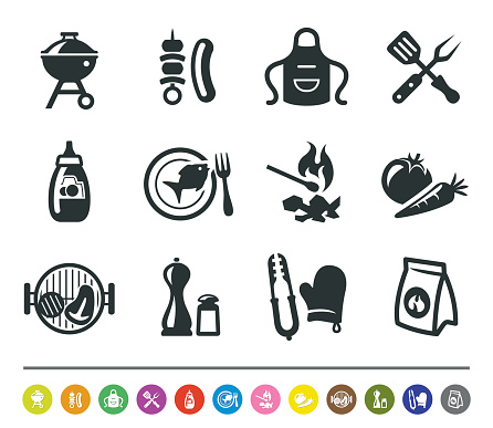 A set of 12 professional barbecue icons.
