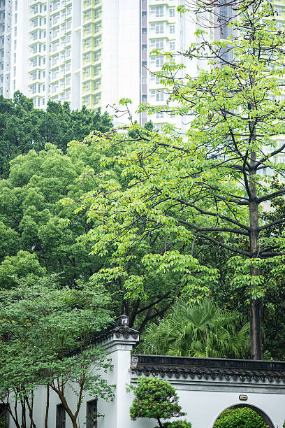 Contrasting architecture:  Traditional Chinese architecture of the Kowloon Walled City Park in the foreground and modern apartments in the background, Kowloon, Hong Kong.